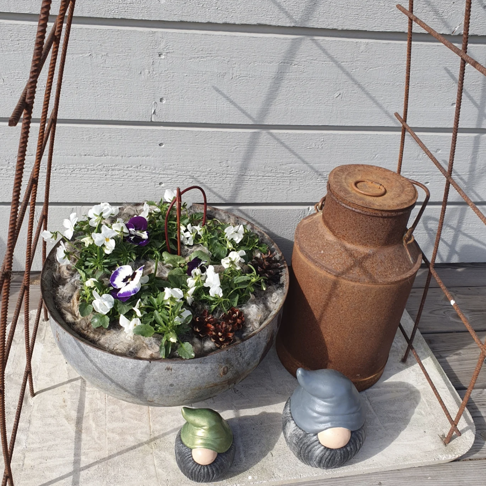 plantering_med_ull