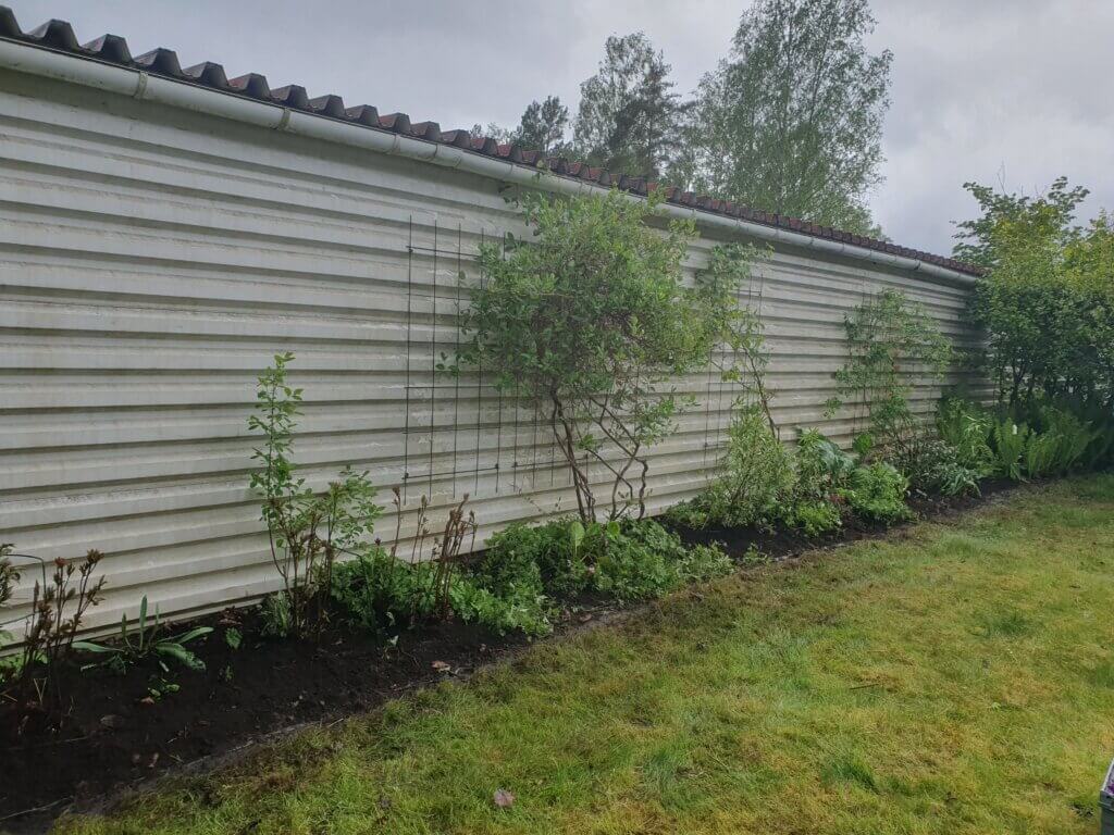 Trädgård med växter längs en vägg