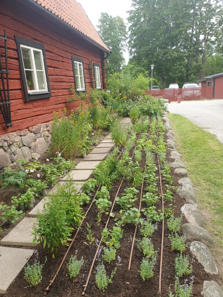 Röd stuga med stenläggning och trädgårdsland
