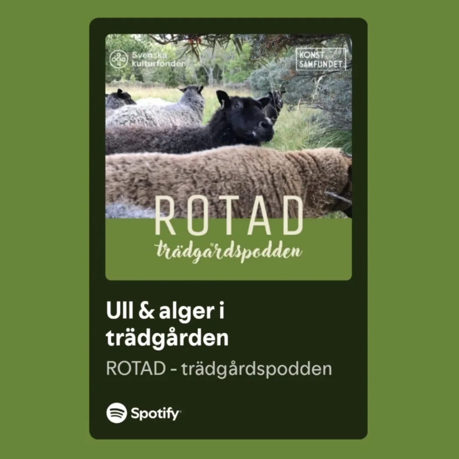 rotad_trädgårdspodd_intervju_katarina_kaveryd