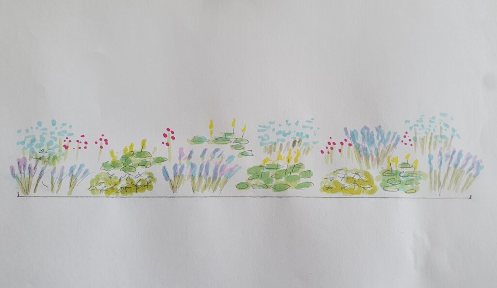 Trädgårdsritning i akvarell av en blomsterkant.