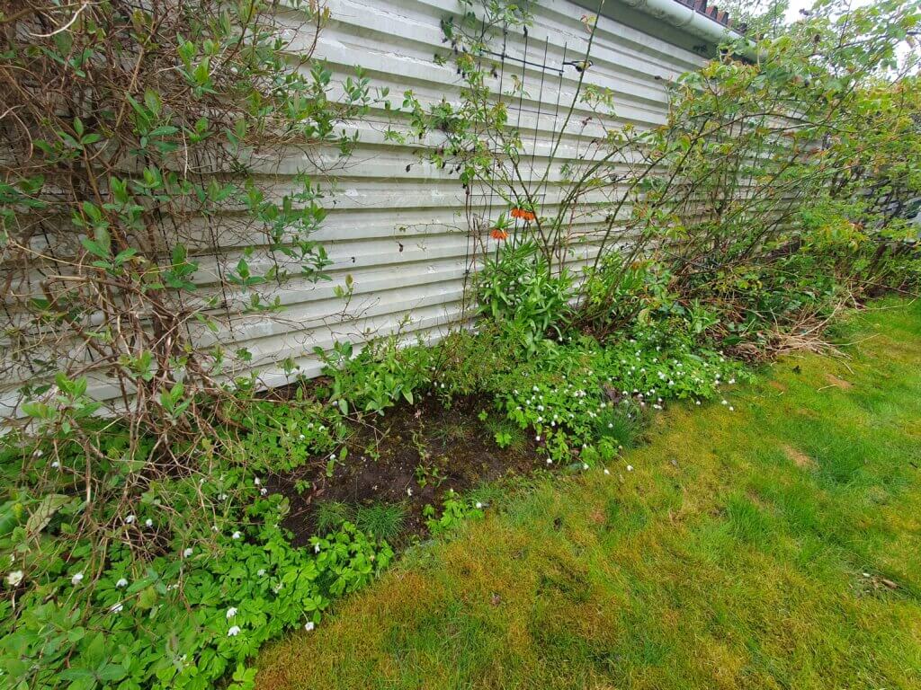 Blommor i rabatt vid husvägg