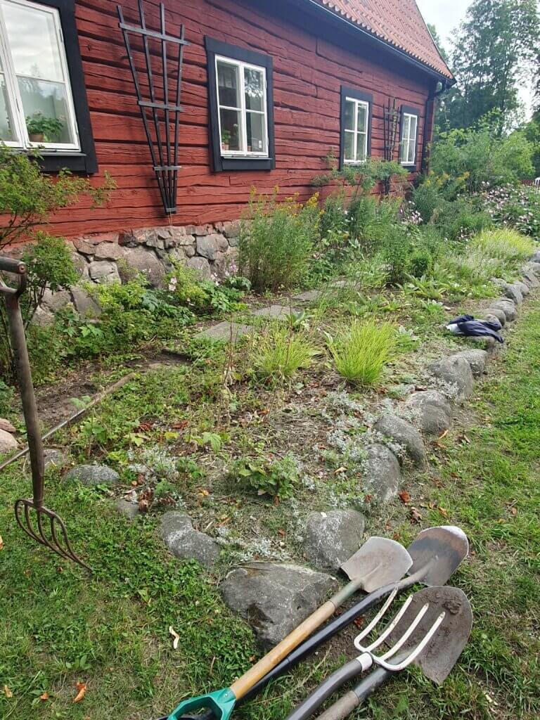 Trädgårdsredskap vid rabatt innan uppgrävning