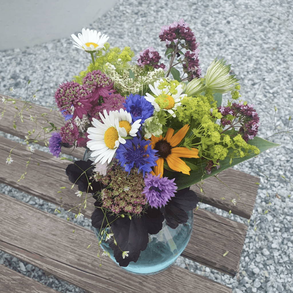 Färgglada sommarblommor i vas